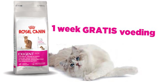 1 week kat NL